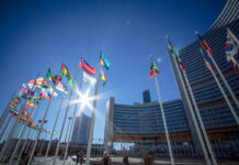 Neue UNODC-Analyse beleuchtet den komplexen der Umweltschutzgesetze weltweit