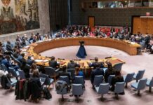 The Impact of Scientific Developments on Global Peace and Security: Insights from the Security Council Briefing