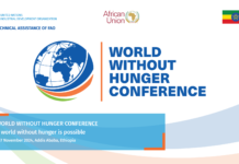UNIDO’s Informative Session: the World Without Hunger Conference 2024