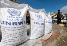 Funding the Future: UNRWA’s Revised Budget and Support for Palestinian Refugees