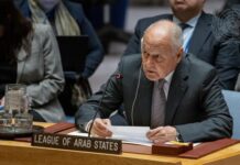 Collaborative Solutions: The Vital Arab League and United Nations Partnership for Conflict Resolution