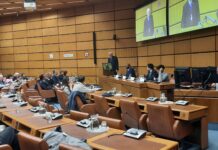Exploring the Original Vision of the UN and the Pact for the Future: A Conference Overview