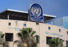 UN Palestinian Rights Committee Urges Implementation of Gaza Ceasefire and Condemns Israel’s UNRWA Ban
