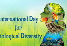 Embracing Biodiversity: A Call to Action for Global Sustainability on International Day for Biological Diversity 2025