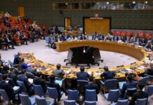 Key Concerns and Warnings Surrounding Syria’s Stability: Insights from the Security Council Discussion
