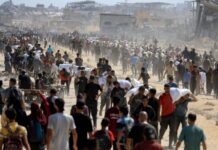 The Urgent Call for Ceasefire in Gaza: A Humanitarian Crisis Unfolding