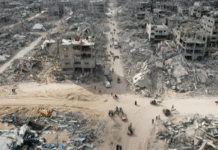 Escalating Humanitarian Crisis in Gaza: A Call to Action