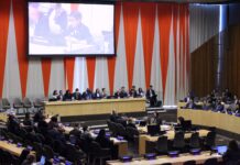 Key Themes for the 2026 United Nations Water Conference: Insights from the General Assembly Decision
