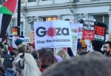 Urgent Call for Action: Addressing the Gaza Famine Crisis