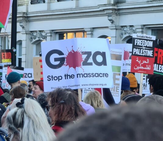 Urgent Call for Action: Addressing the Gaza Famine Crisis