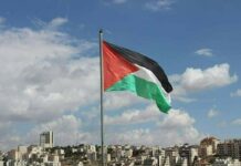 International Recognition of Palestine: Political Marketing or Genuine Change?