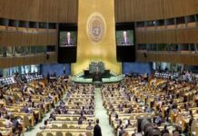 The 2025 New York Conference: An Analysis of International Efforts for Israeli-Palestinian Peace
