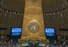 Key Resolutions Adopted by the UN General Assembly: Focus on AI Governance, CIS Cooperation, and Security Council Reform