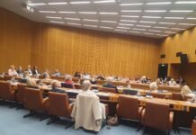 Exploring Brain Health: A Conference on Healthy Ageing in Vienna International Center