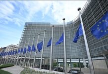 Greece’s Opposition to Turkey in the EU’s Drone Wall Initiative
