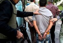 Iran Nationale Sicherheit oder Unterdrückungswerkzeug? Eine kriminologische und rechtliche Kritik des Gesetzes zur Verschärfung der Spionage-Strafen