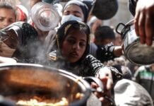 Addressing Conflict-Related Food Insecurity: A Call to Action