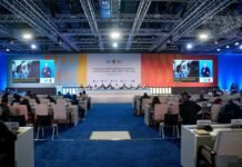 Reflecting on the 1995 Copenhagen Summit: Progress and Challenges Ahead