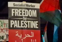 Understanding the Advisory Opinion on Palestinian Rights: Insights from the International Court of Justice