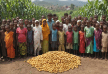 Understanding the Global Hunger Crisis: Conflict, Consequences, and Solutions