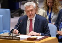 UN General Assembly Takes Significant Steps: Appointment of New Refugee Commissioner and Adoption of Key Resolutions