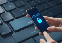 Strengthening Global Partnerships Against Online Scams: The UN’s Call to Action