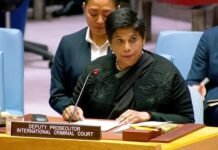 Urgent Update: The Situation in Sudan and the Role of the ICC