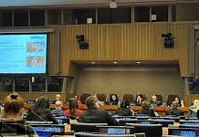 Key Outcomes and Debates from the Commission for Social Development’s 64th Session