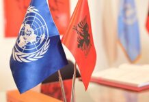 Albania 2026: Human Rights, State Authority, and the Ilir Meta Case