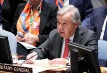 Urgent Plea for Palestinian Rights: The Path to Peace