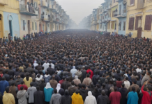 Embracing Human Fraternity: A Call for Unity on February 4, 2026