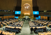 Reassessing the Role of the United Nations in Today’s World