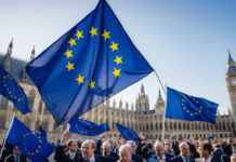Is This the European Moment? Understanding Europe’s Role in a Changing Global Landscape