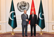 Mediation and the Geopolitical Positioning of Belarus and Pakistan in a Multipolar World