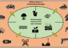 Understanding the Strategic Ecosystems in the Russia-Ukraine Conflict (Part 1)